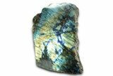 Tall, Single Side Polished Labradorite - Free-Standing #341819-1